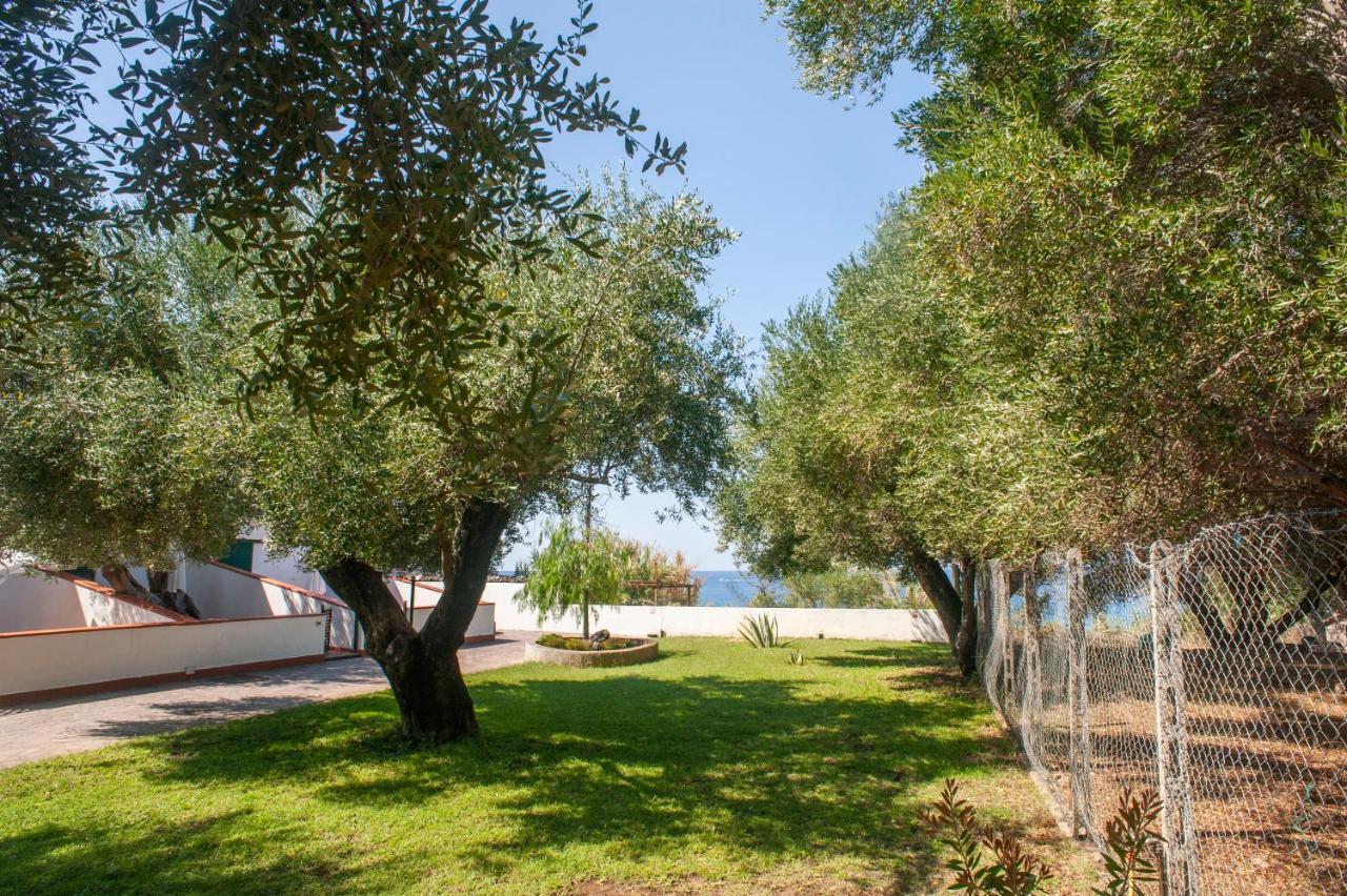 Casa Palinuro Vacanze Fronte Spiaggia Экстерьер фото