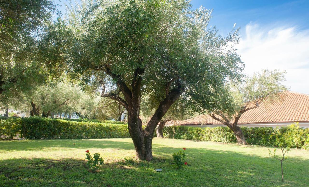 Casa Palinuro Vacanze Fronte Spiaggia Экстерьер фото