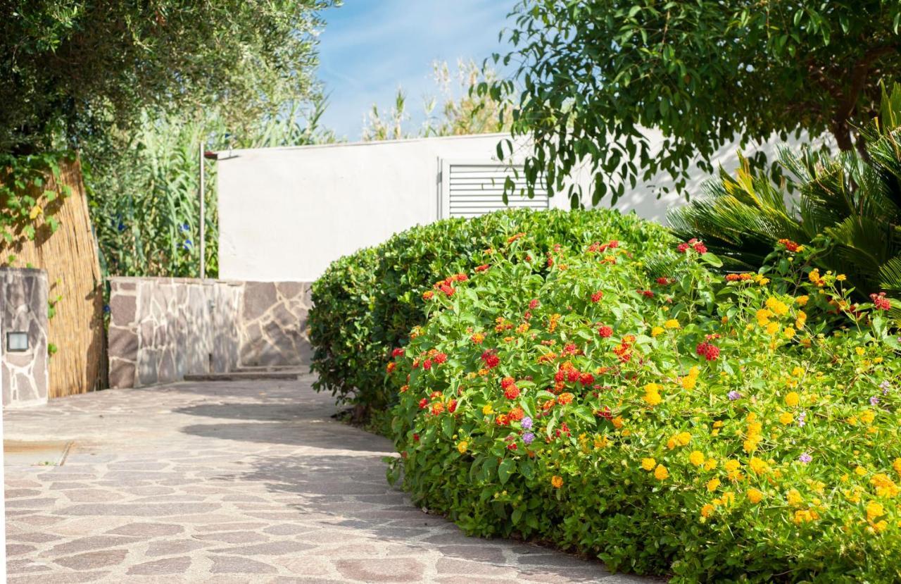 Casa Palinuro Vacanze Fronte Spiaggia Экстерьер фото