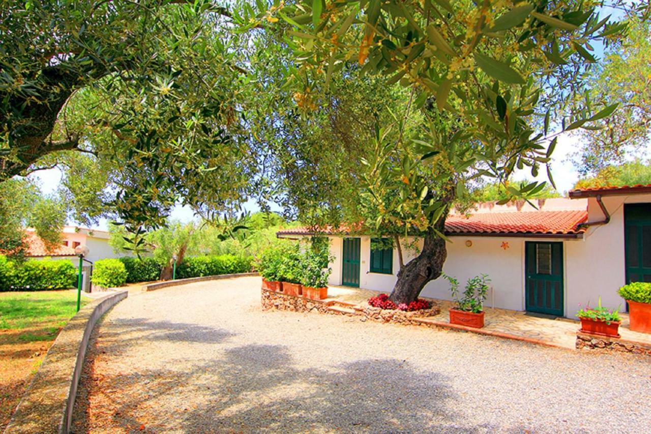 Casa Palinuro Vacanze Fronte Spiaggia Экстерьер фото